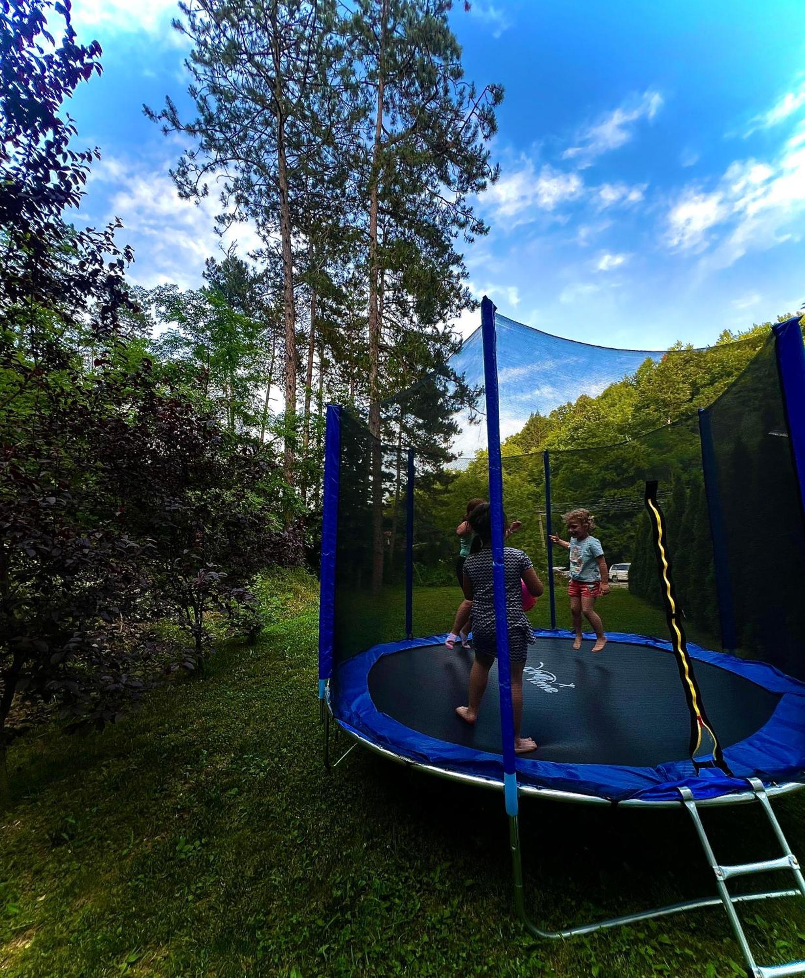 Zeleni Dvor Bed & Breakfast Ribarska Banja Exterior photo